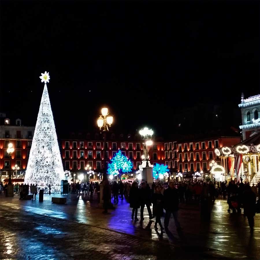 Imagen de la galería
