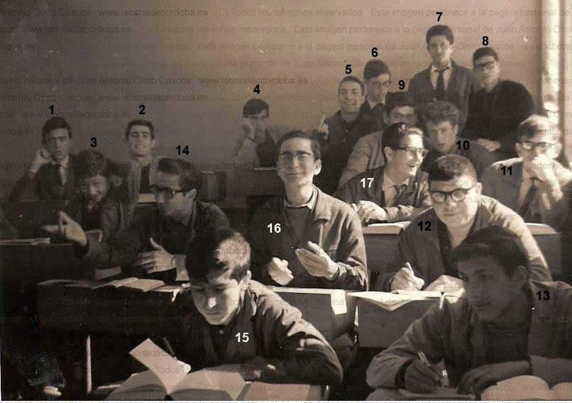 Imagen de la galería