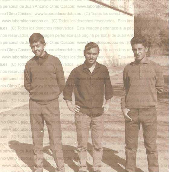 Imagen de la galería