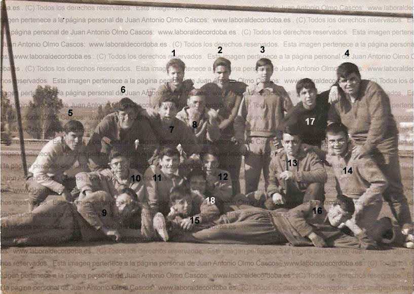 Imagen de la galería