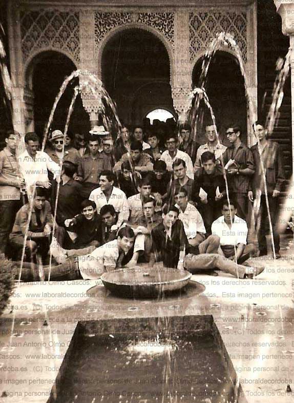 Imagen de la galería