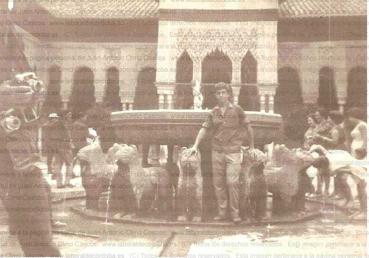 Imagen de la galería