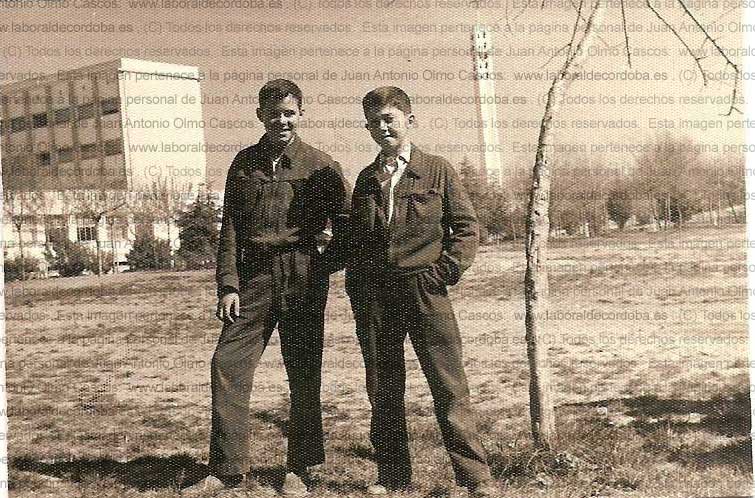 Imagen de la galería