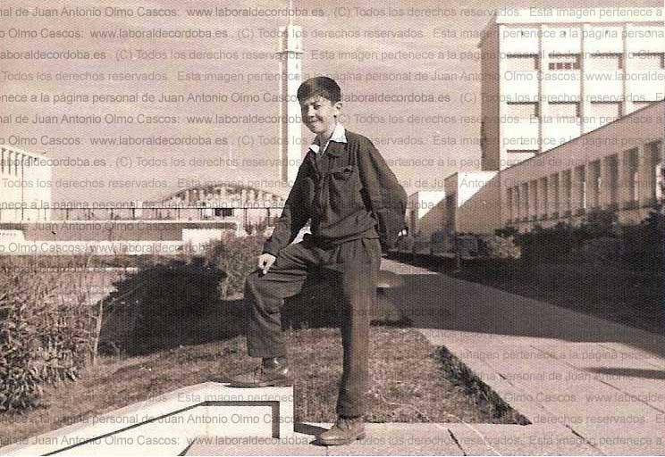 Imagen de la galería