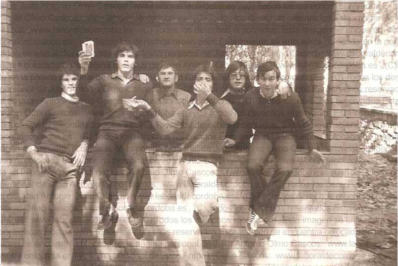 Imagen de la galería