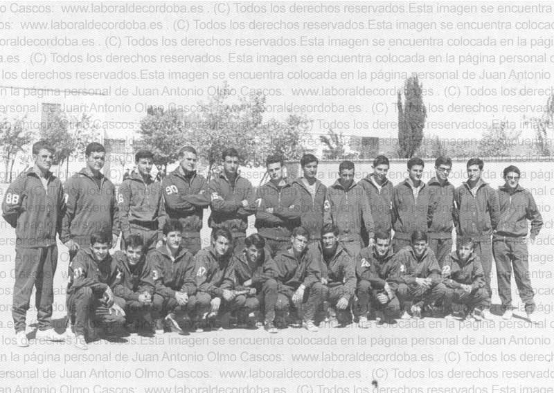 Imagen de la galería