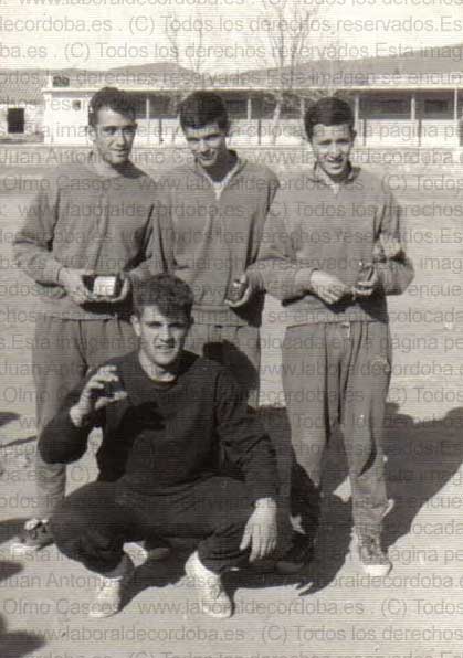 Imagen de la galería