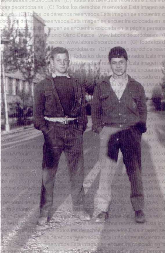 Imagen de la galería