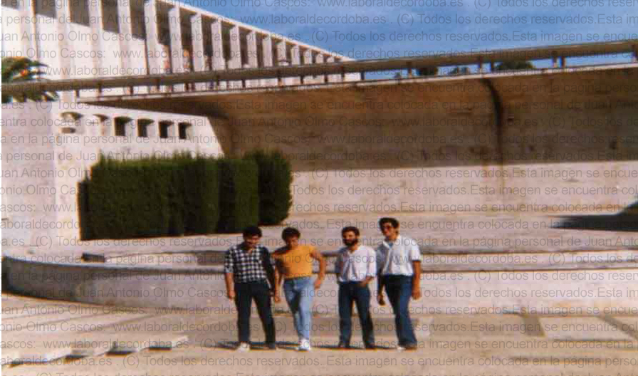 Imagen de la galería