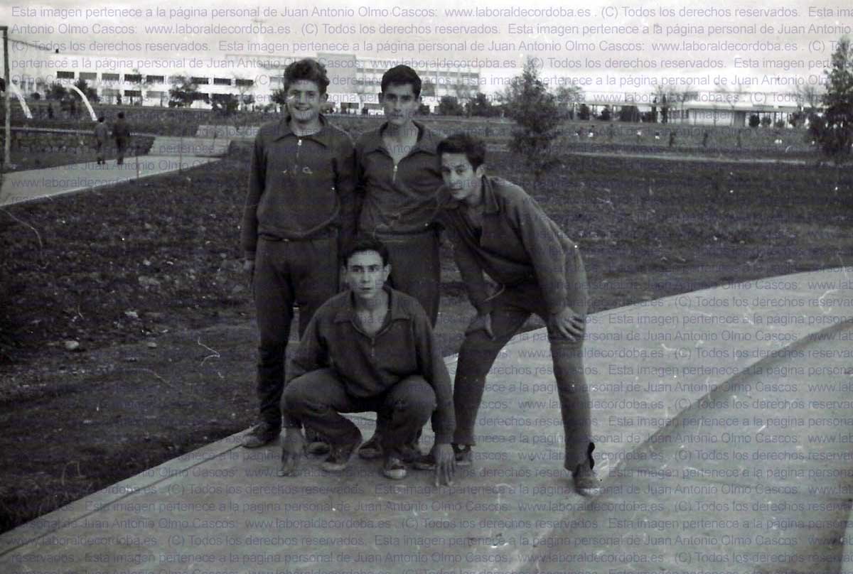 Imagen de la galería