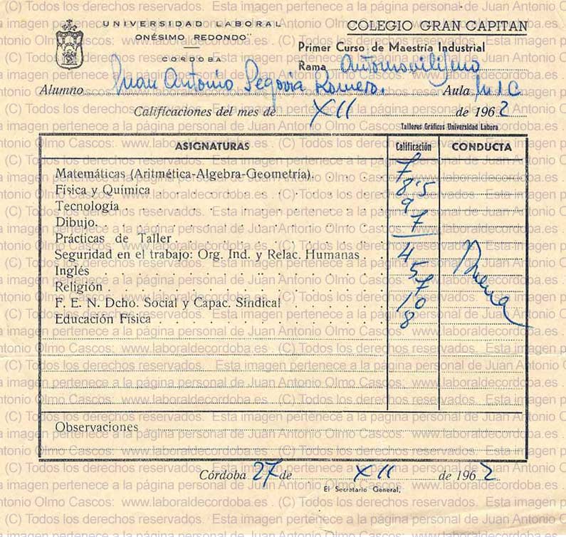 Imagen de la galería