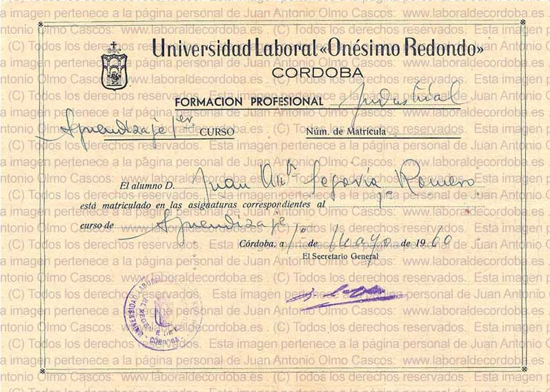 Imagen de la galería