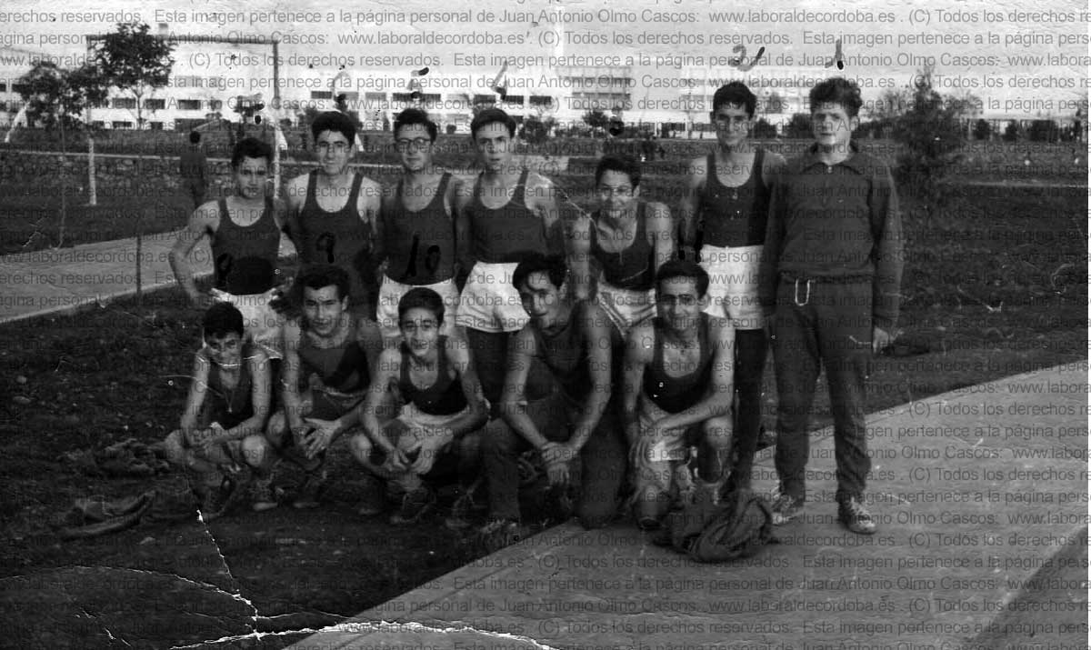 Imagen de la galería