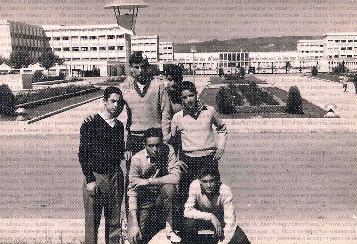 Imagen de la galería
