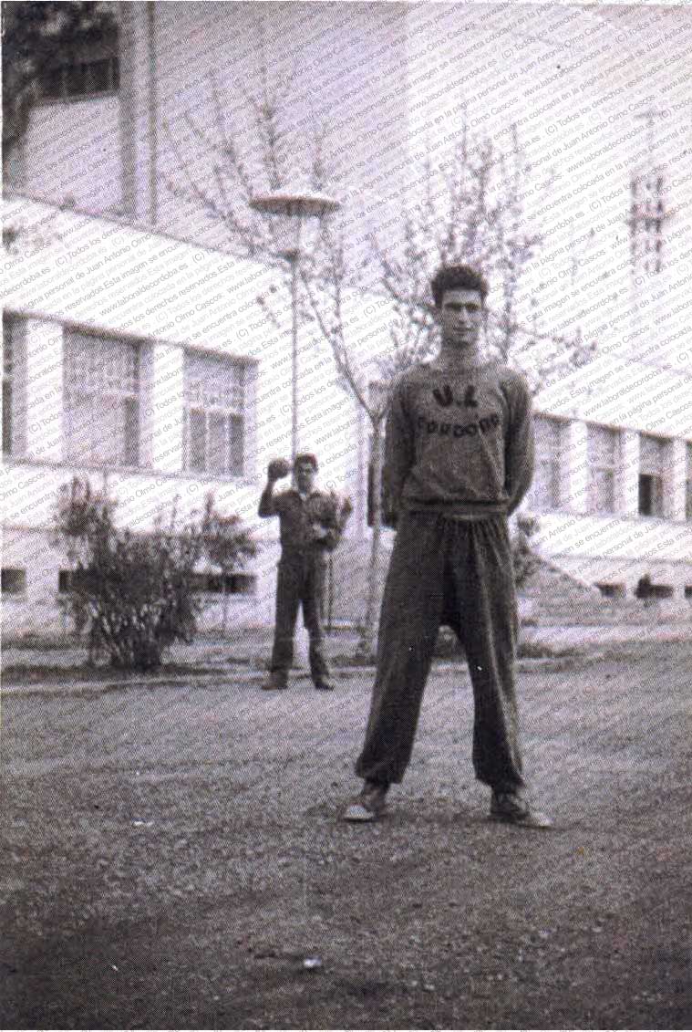 Imagen de la galería