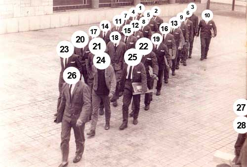 Capa numerada