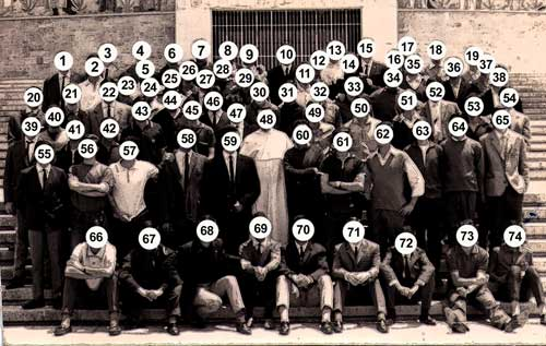 Capa numerada